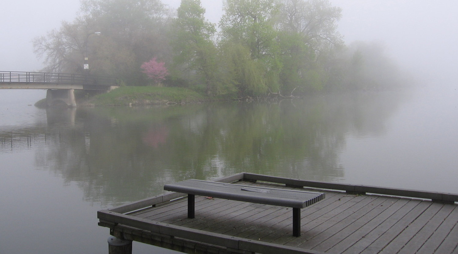 The Wooded Island